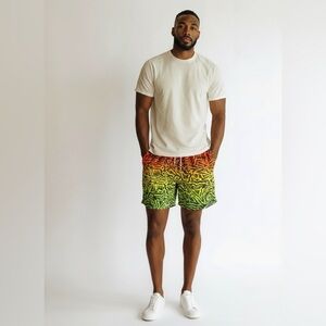 NWOT Maui and Sons Vintage Inspired Vibrant Gradient Zebra Print Pool Shorts